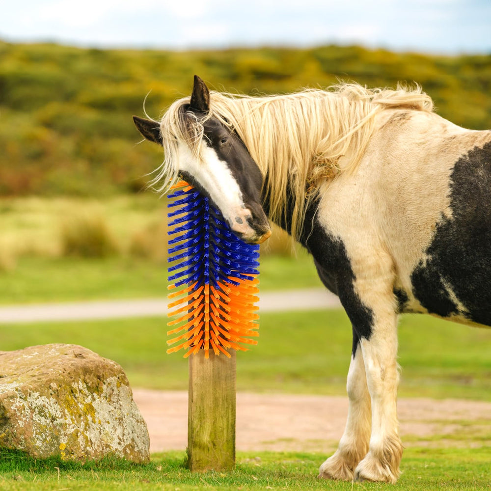 Cididu Livestock Scratch Brush in a barn setting ready for use