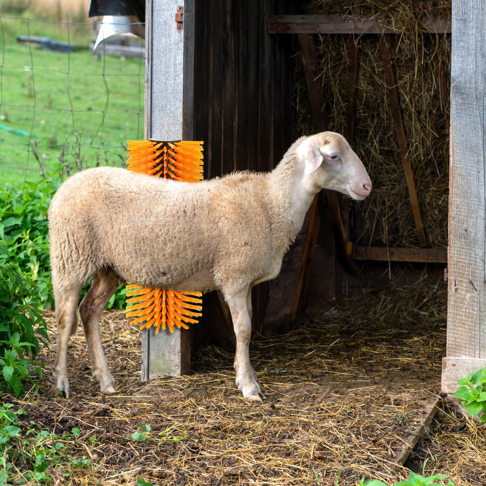 Cididu Livestock Scratch Brush aiding shedding control during grooming