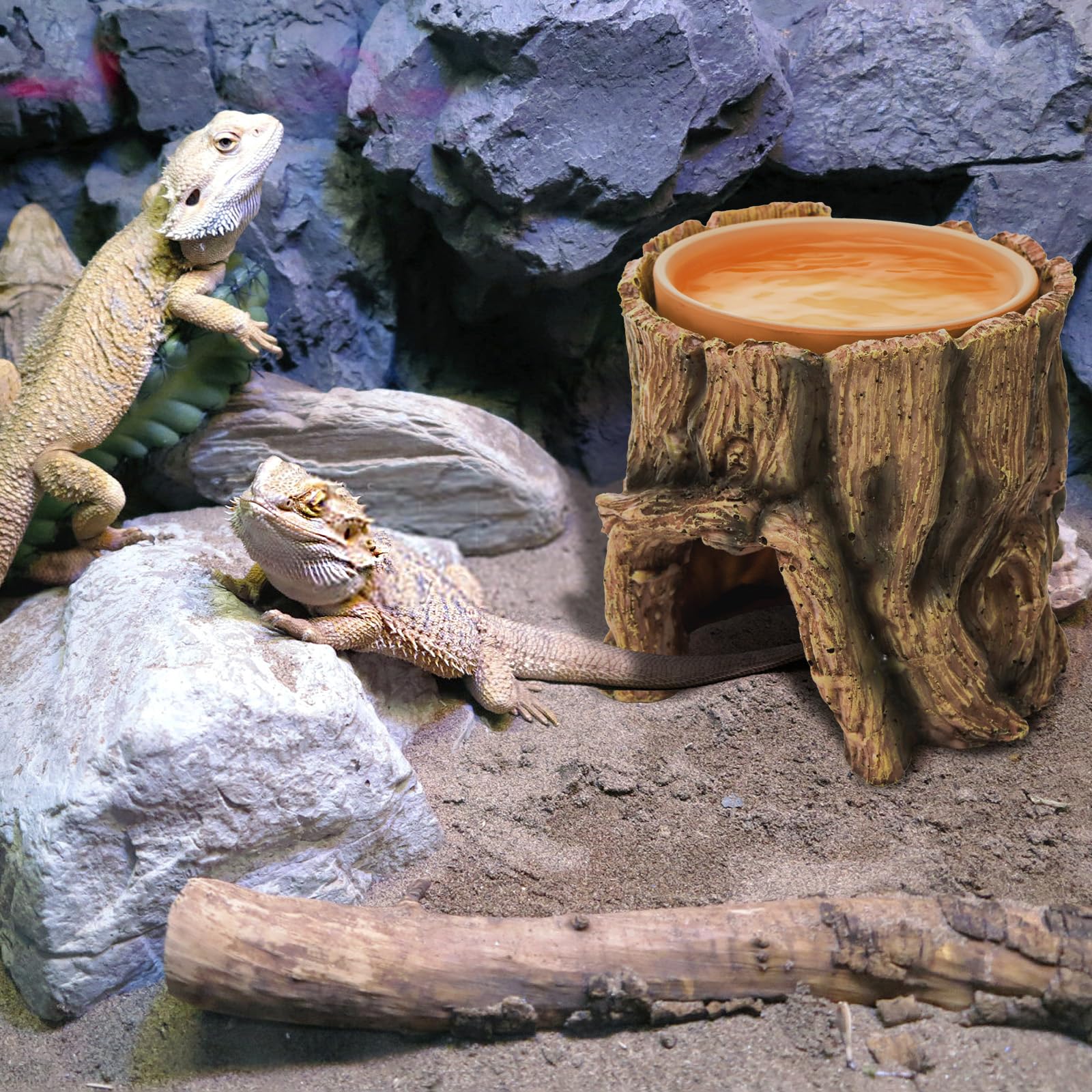 Cididu multi-species compatibility highlights shelter usable for geckos, snakes, turtles and more.