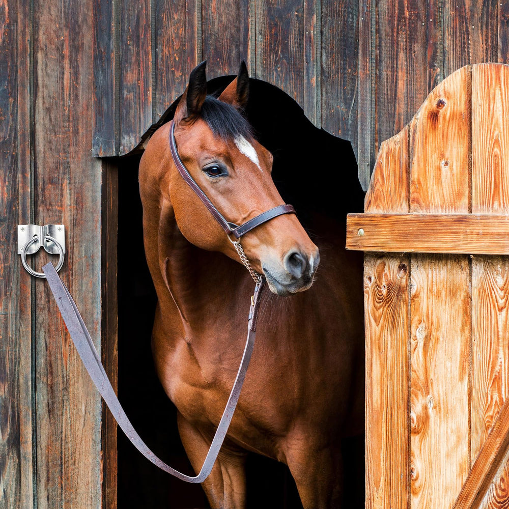 Cididu stainless steel hitching ring in barn with hay bags
