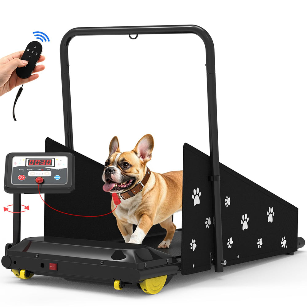 CIIHI C dog treadmill front view for easy at-home pet workouts.