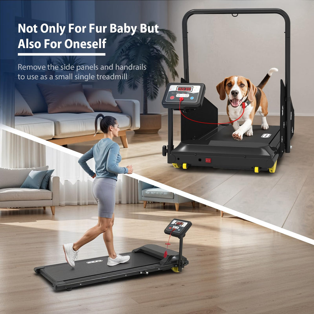 CIIHI C dog treadmill safety key for instant stop.