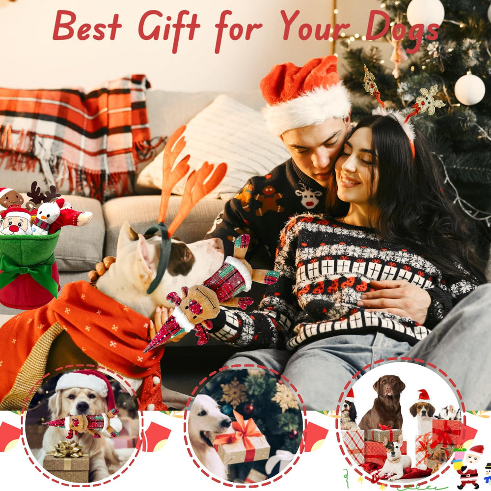 CIIVURR Christmas enrichment toy supports playful bonding.