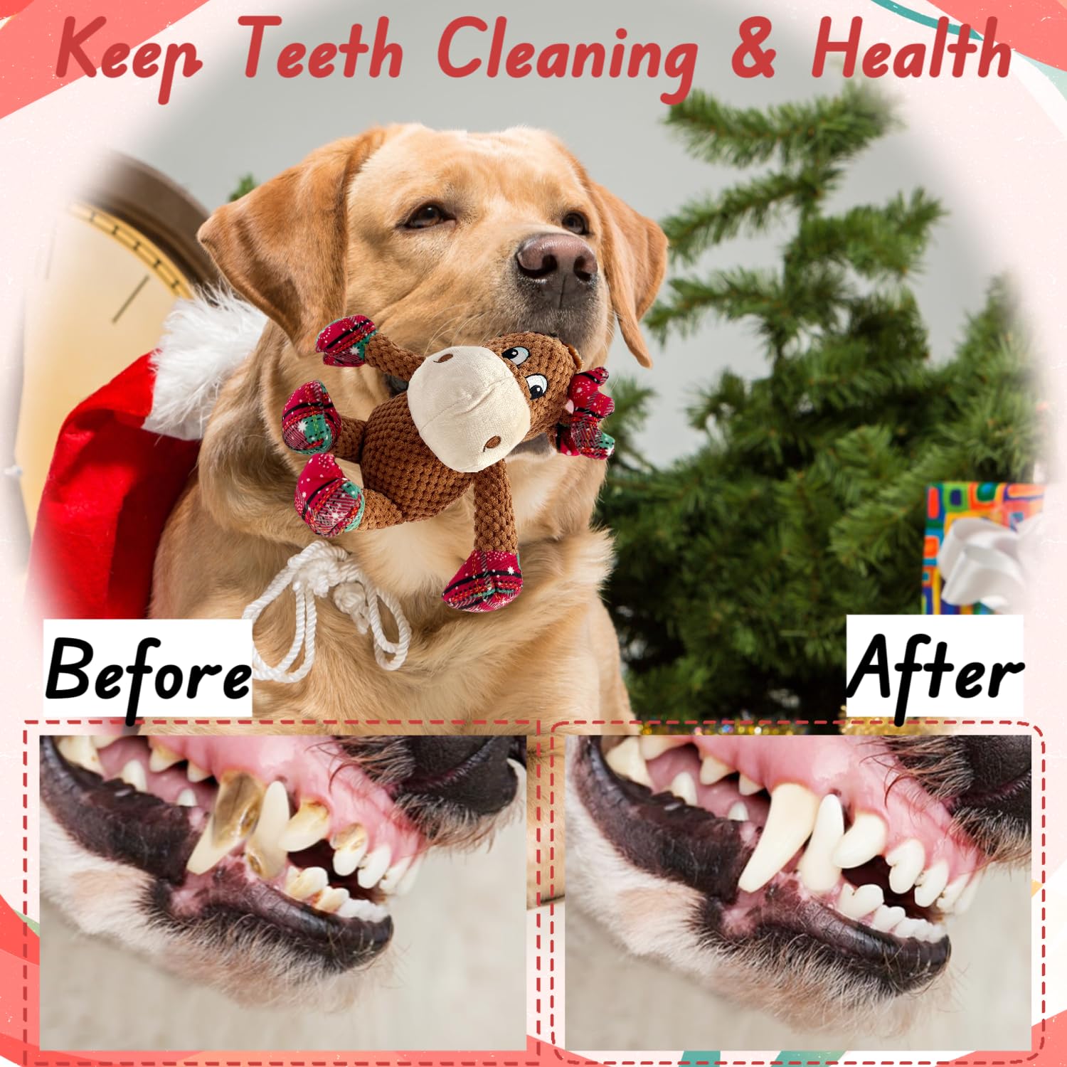 CIIVURR dog toy is machine washable for easy cleanup after play.