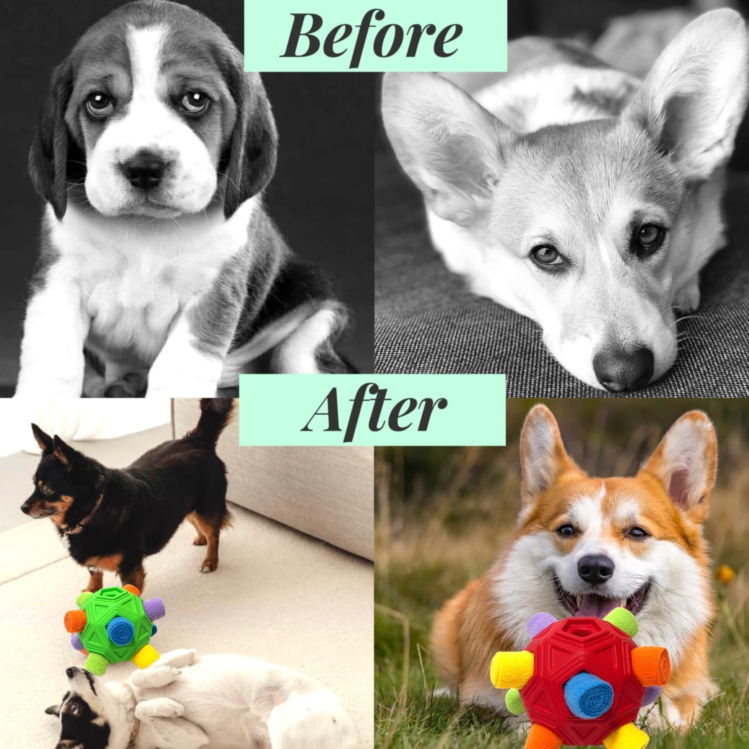 CIIVURR Snuffle Ball in-use image highlighting puzzle play and mental engagement.