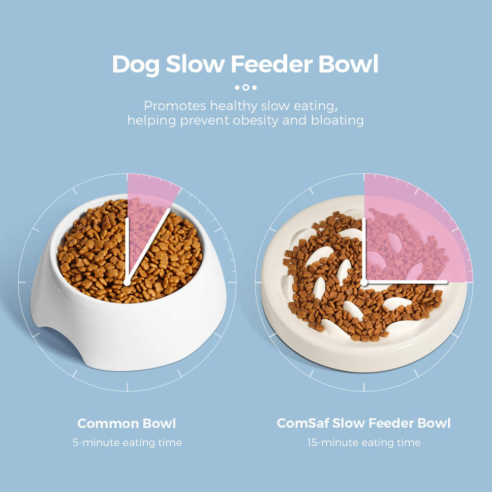 Cilkus dishwasher-safe cleaning makes maintenance quick for busy pet owners.