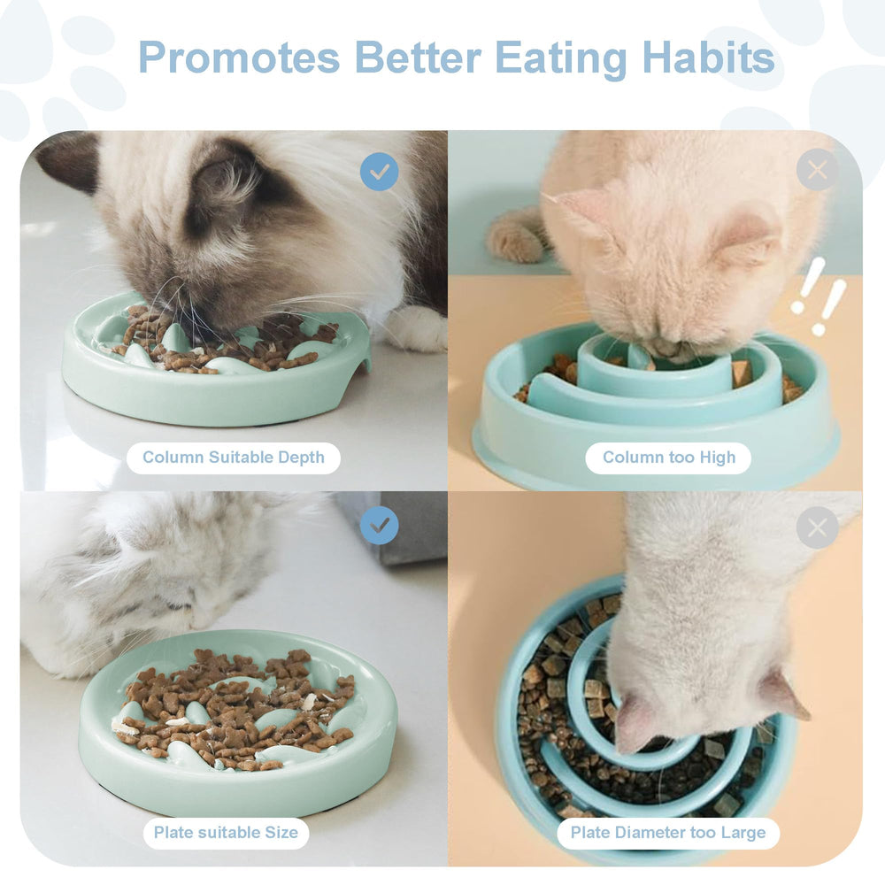 Cilkus fish pool design interaction shows an engaging feeder that promotes mindful eating.