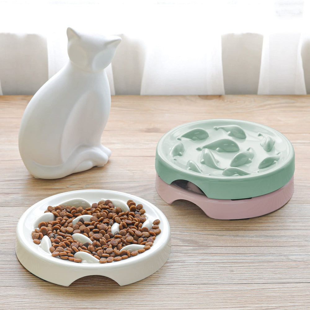 Cilkus green bowl on floor demonstrates versatile home use for cats and small dogs.