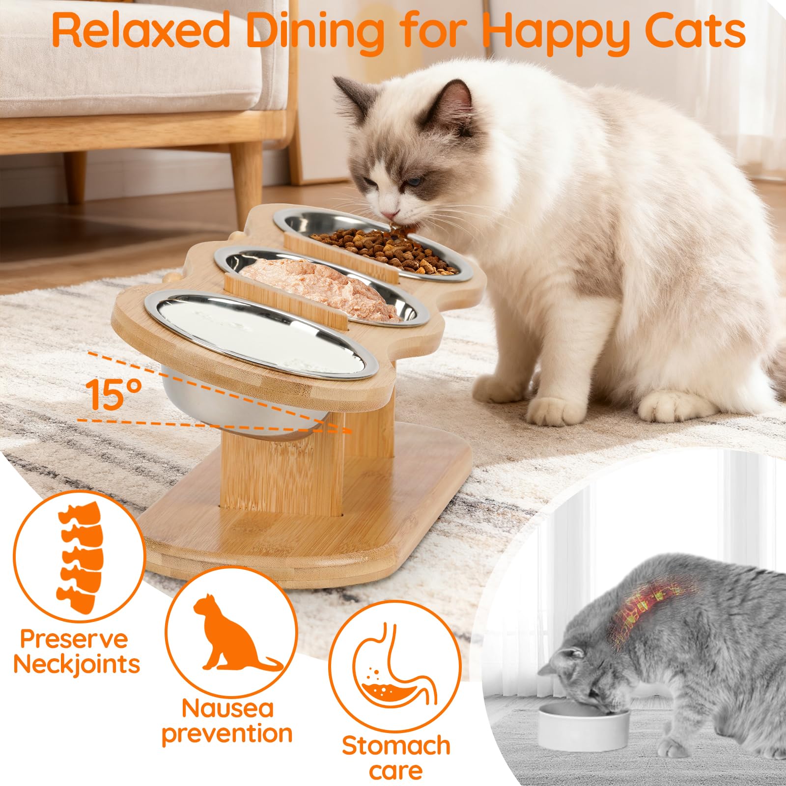 CILXGQLN three-bowl feeder keeps meals organized and accessible for small pets.