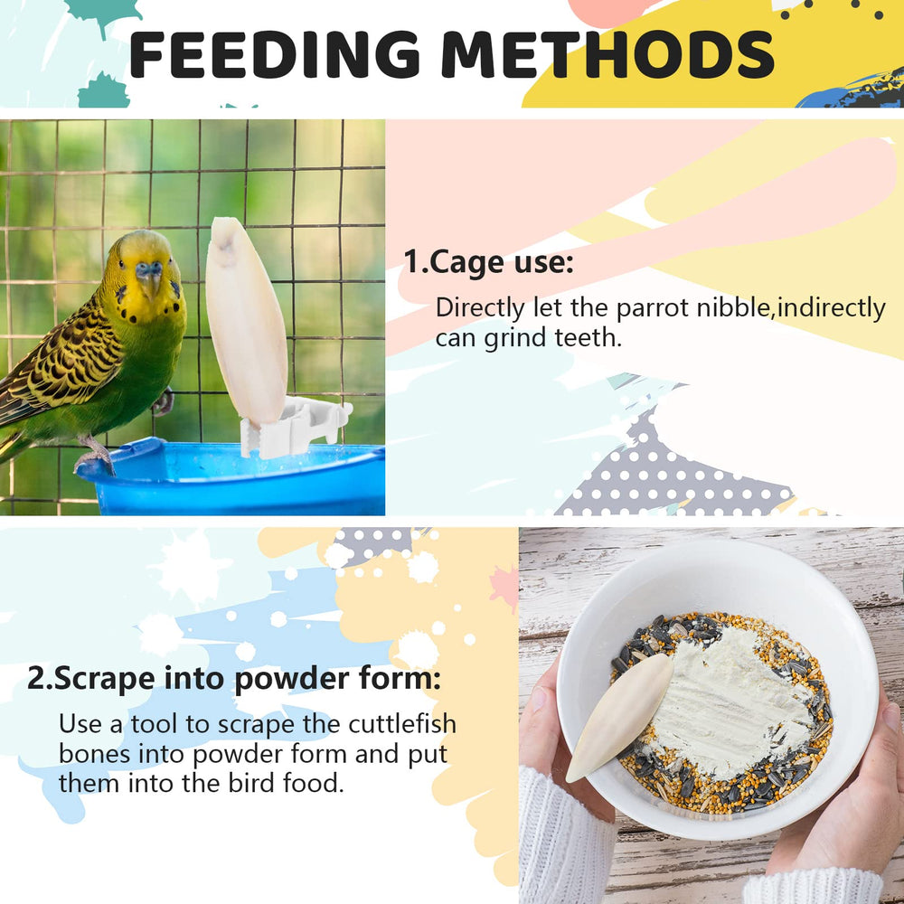 Cindeer parakeet cuttlebone 3-to-3-5in shows chew length for birds.