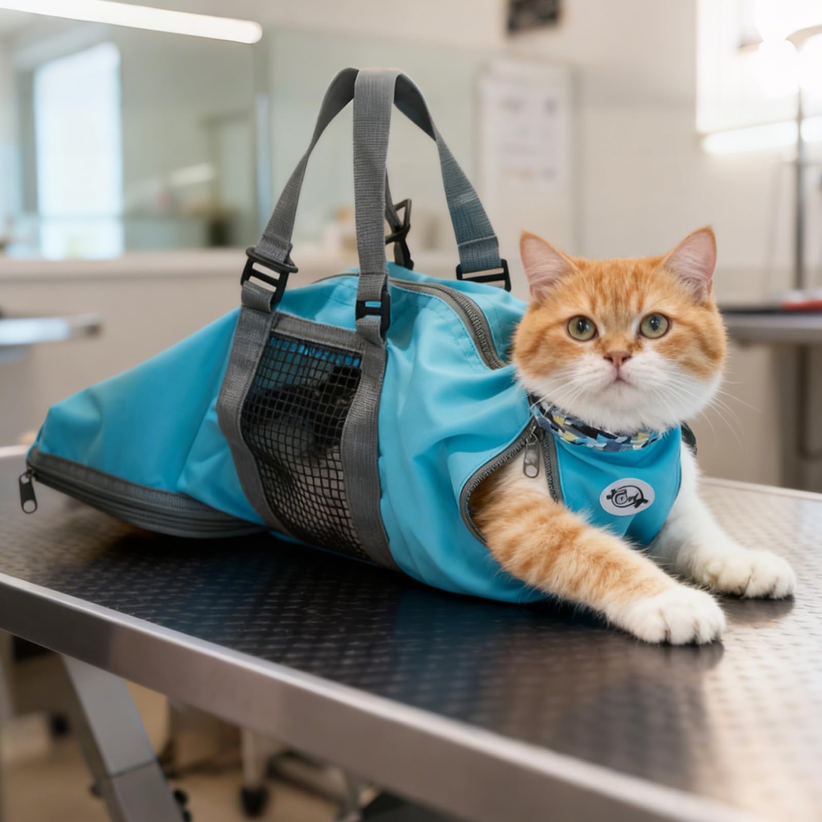 Cinf cat grooming bag blue closed back view for calm grooming and restraint