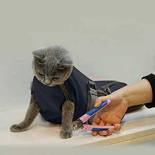 Cinf grooming bag rear-paw zipper access in use