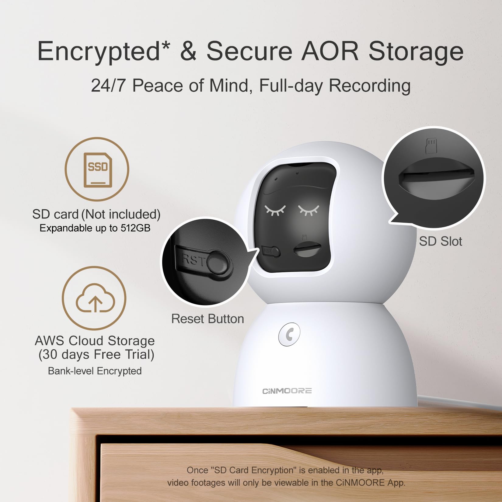 CINMOORE AWS cloud option adds optional secure backup for clips.