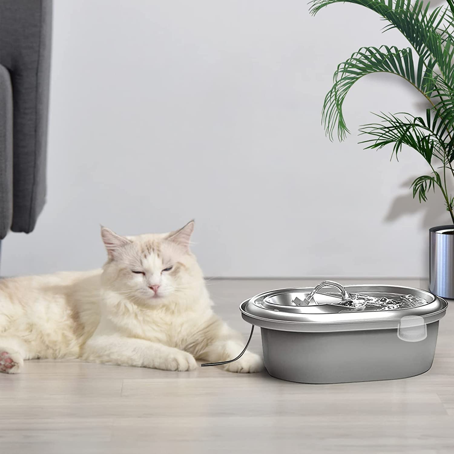 Cirfifth cat water fountain filters include warranty and friendly support for worry-free replacement