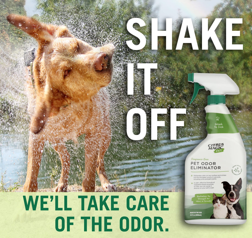 Citrus Magic Pet Odor Eliminator used directly on pet coat to remove odors safely