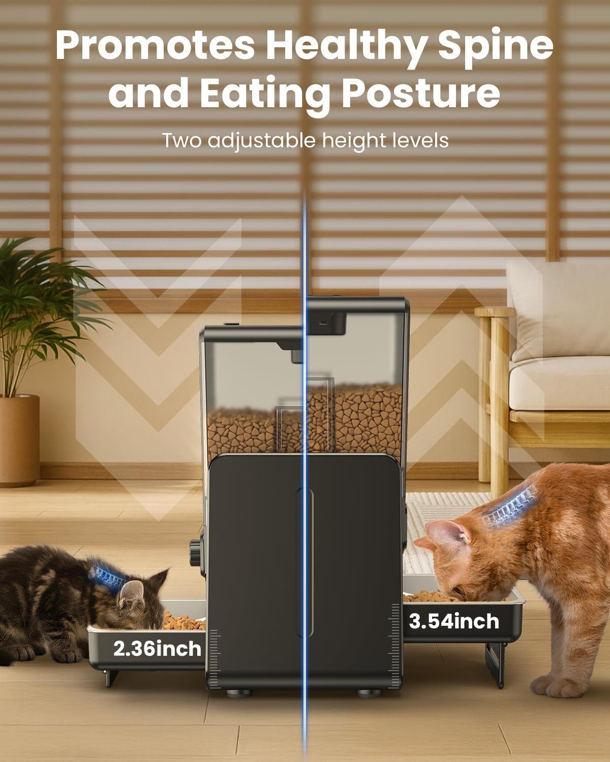 CityFlee automatic feeder dual-bow setup demonstrates side-by-side meals for two cats.
