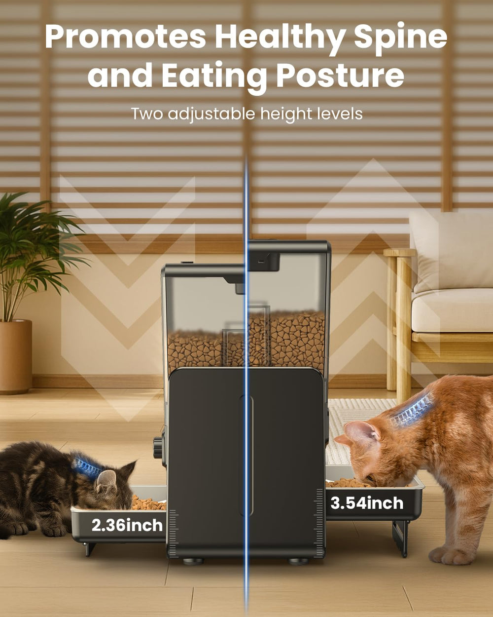 CityFlee automatic feeder dual-bow setup demonstrates side-by-side meals for two cats.