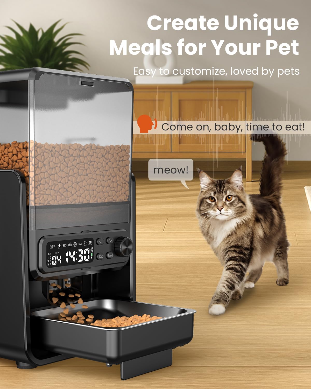 CityFlee automatic feeder with lid desiccant cap demonstrates freshness and spill prevention.