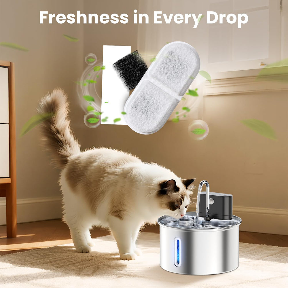 CityFlee cat fountain setup using filters for fresh-tasting water