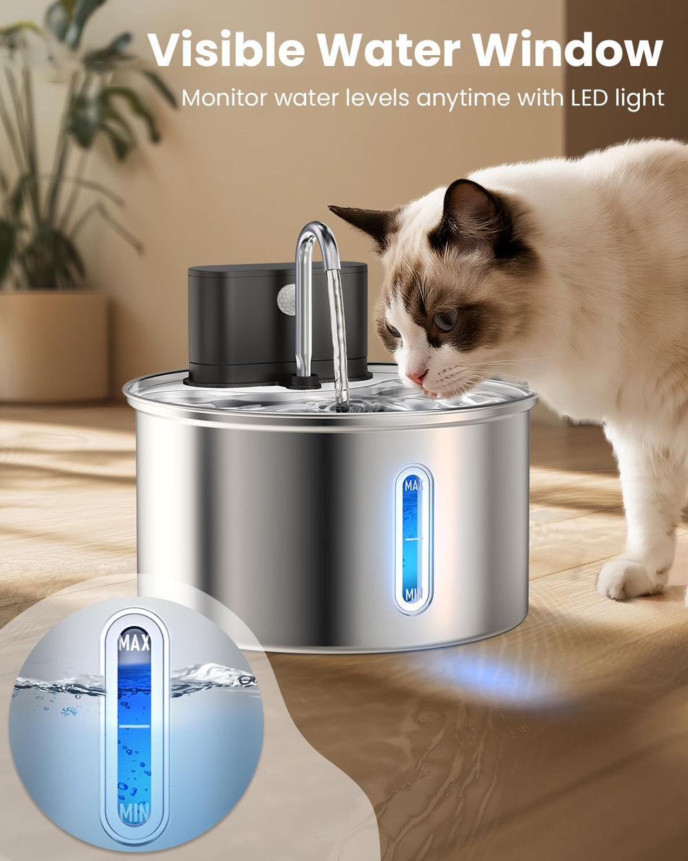 Cityflee pet hydration setup ready for indoor multi-pet drinking