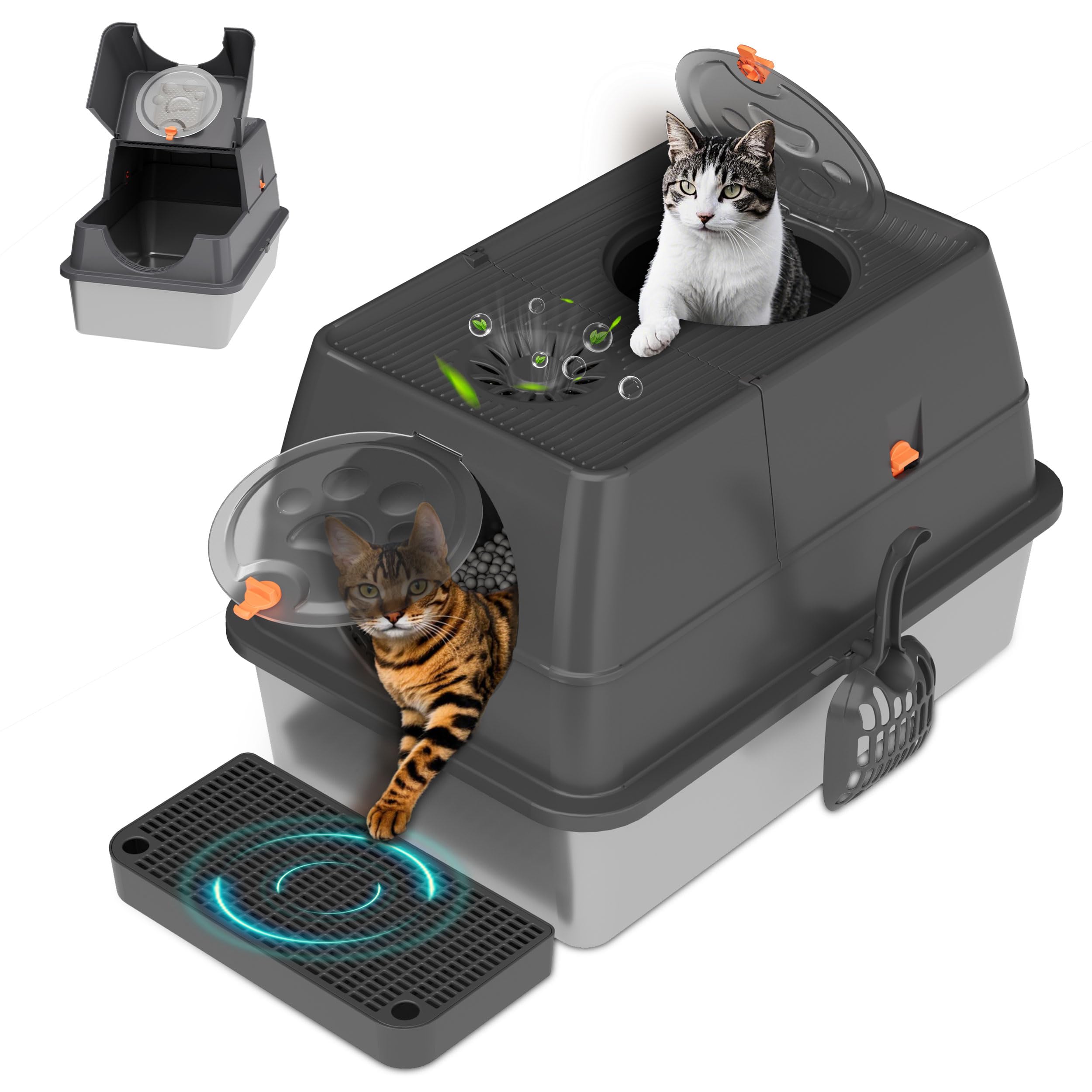 Citylife XL front-entry stainless steel litter box demonstrates easy access for cats and owners