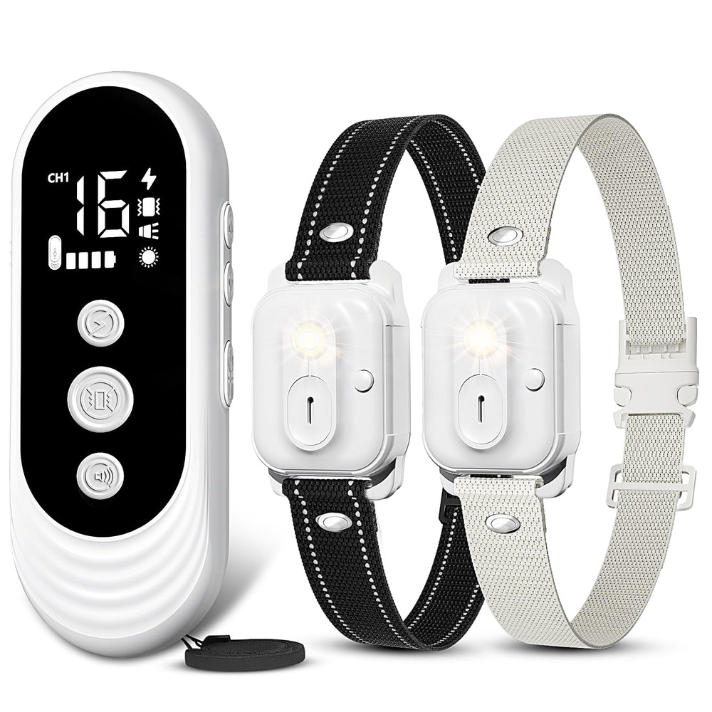 CIUZL dual-dog shock collar with remote for joint training sessions of two dogs