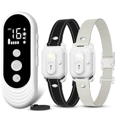 CIUZL dual-dog shock collar with remote for joint training sessions of two dogs