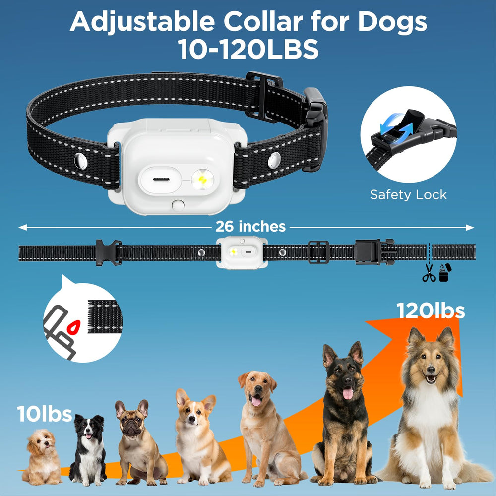 CIUZL soft nylon collar band for comfortable training sessions