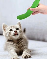 CiyvoLyeen catnip toy green bean kicker invites curious exploration.