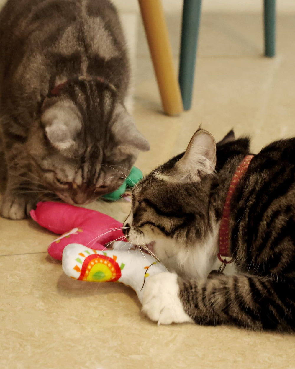 CiyvoLyeen catnip toy set of five supports kitten entertainment and relaxed evenings.