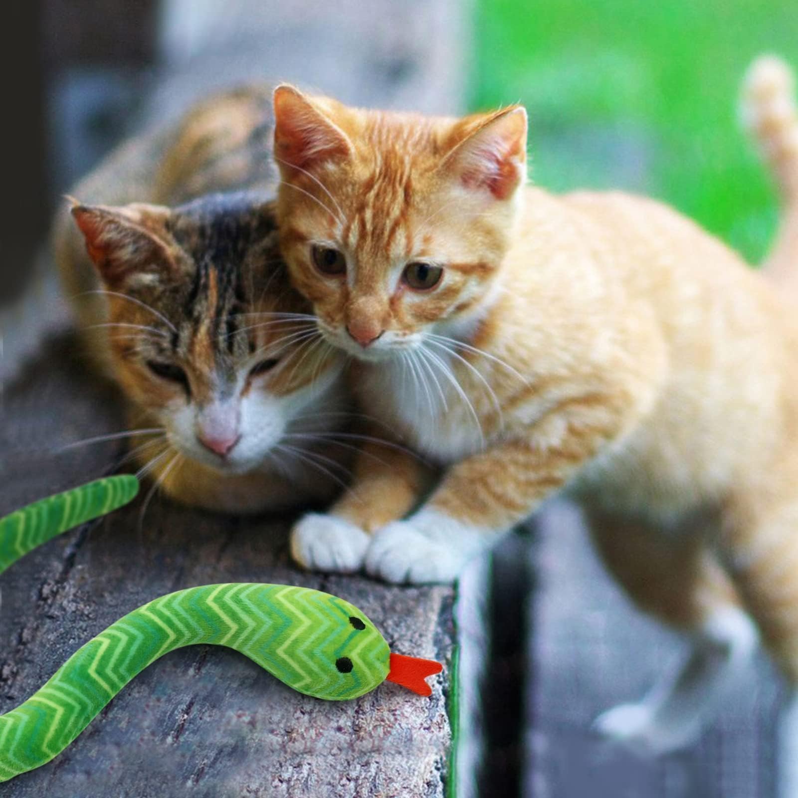 Ciyvolyeen gift-ready catnip toy pack conveys a thoughtful present for cat lovers and kittens.