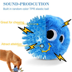 CJZJPV indoor-outdoor fetch toy invites active dogs to play.