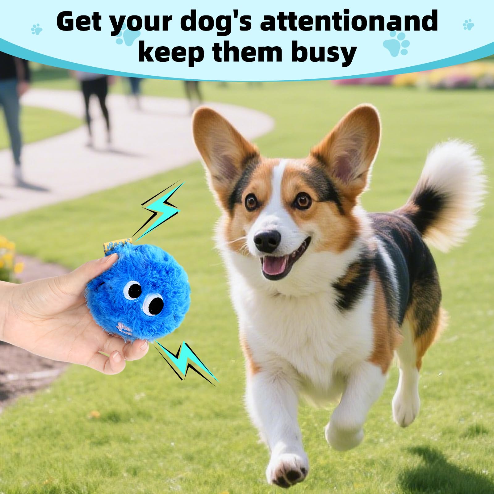 CJZJPV compact blue design fits small and medium breeds for playtime.