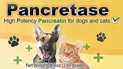 CK Formulations Pancretase capsules close-up for convenient dosing in dogs and cats