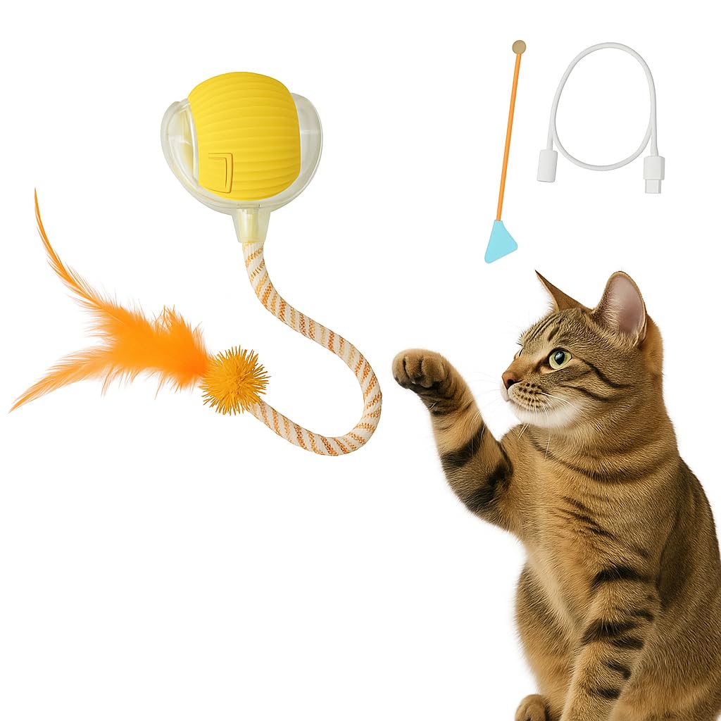 CKFPS automatic cat toy ball with feather tail engages curious indoor cats