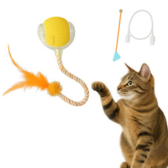 CKFPS automatic cat toy ball with feather tail engages curious indoor cats