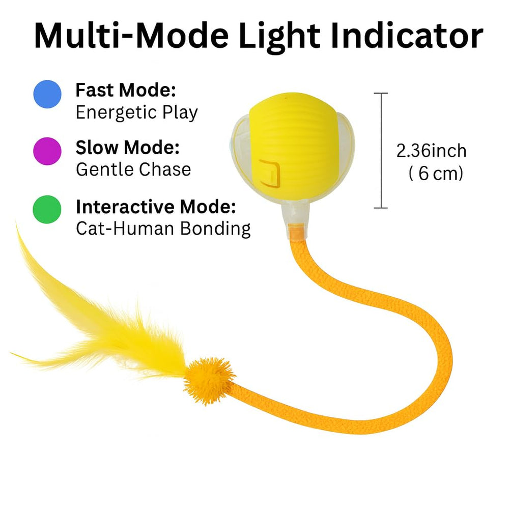 CKFPS automatic cat toy ball with ribbon tail prompts playful chases at home