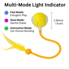 CKFPS automatic cat toy ball with ribbon tail prompts playful chases at home
