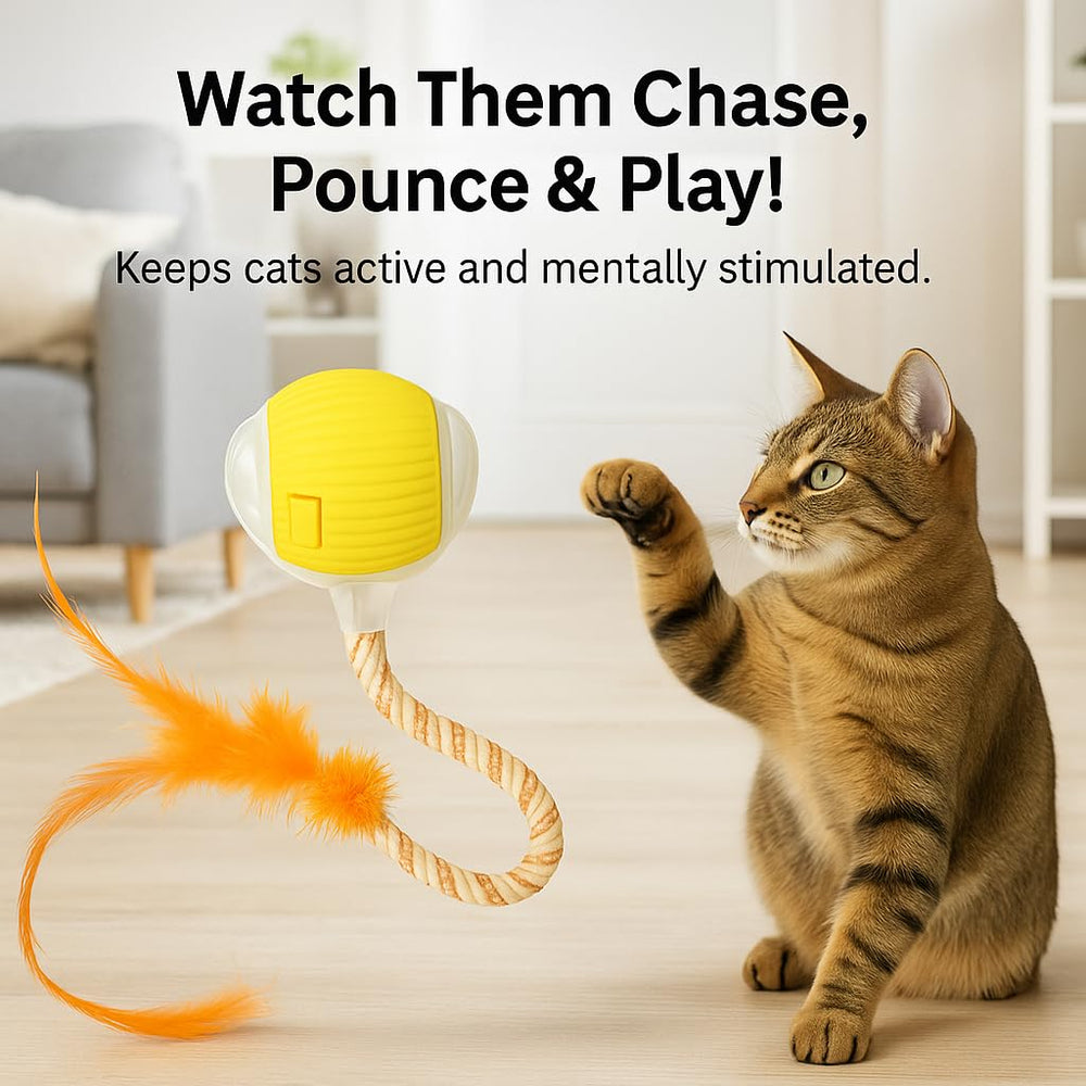 CKFPS cat ball with light-up effects boosts nighttime play