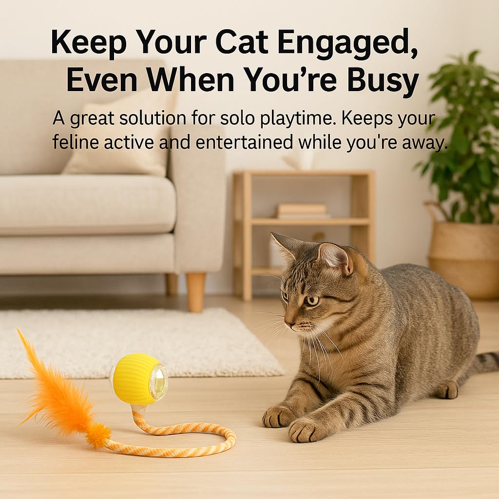 CKFPS cat toy ball dual-speed option suits kittens and adults