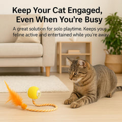 CKFPS cat toy ball dual-speed option suits kittens and adults