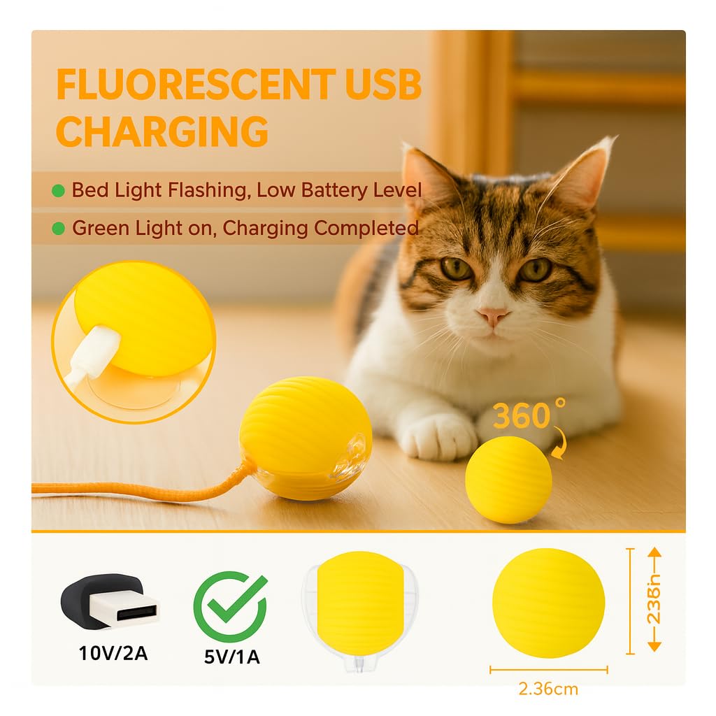 CKFPS cat toy ball with easy-clean, non-toxic materials