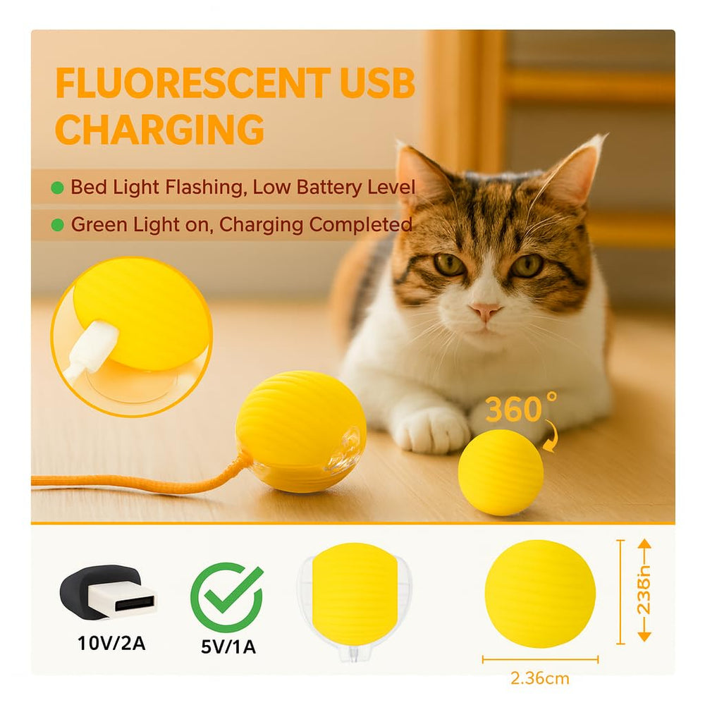 CKFPS cat toy ball with easy-clean, non-toxic materials