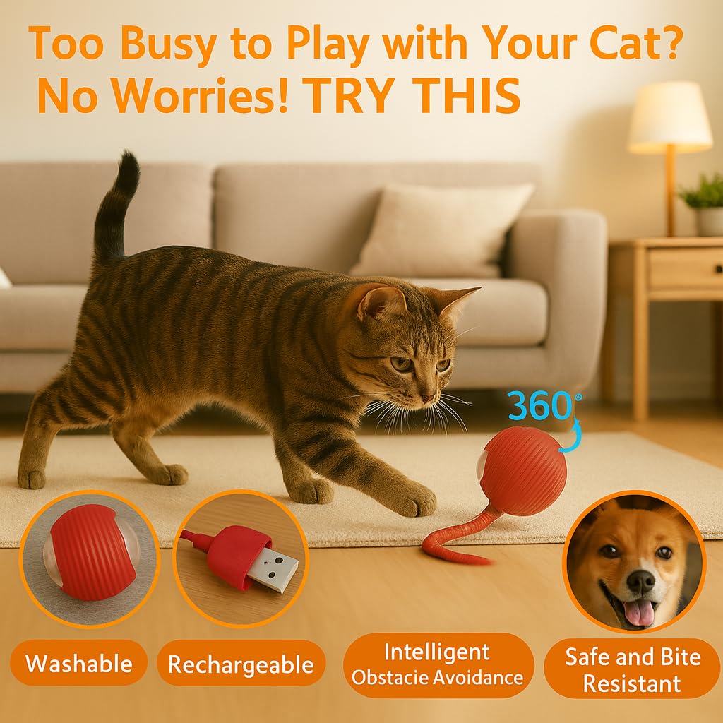 CKFPS ball with dual-speed rolling for kittens and adults