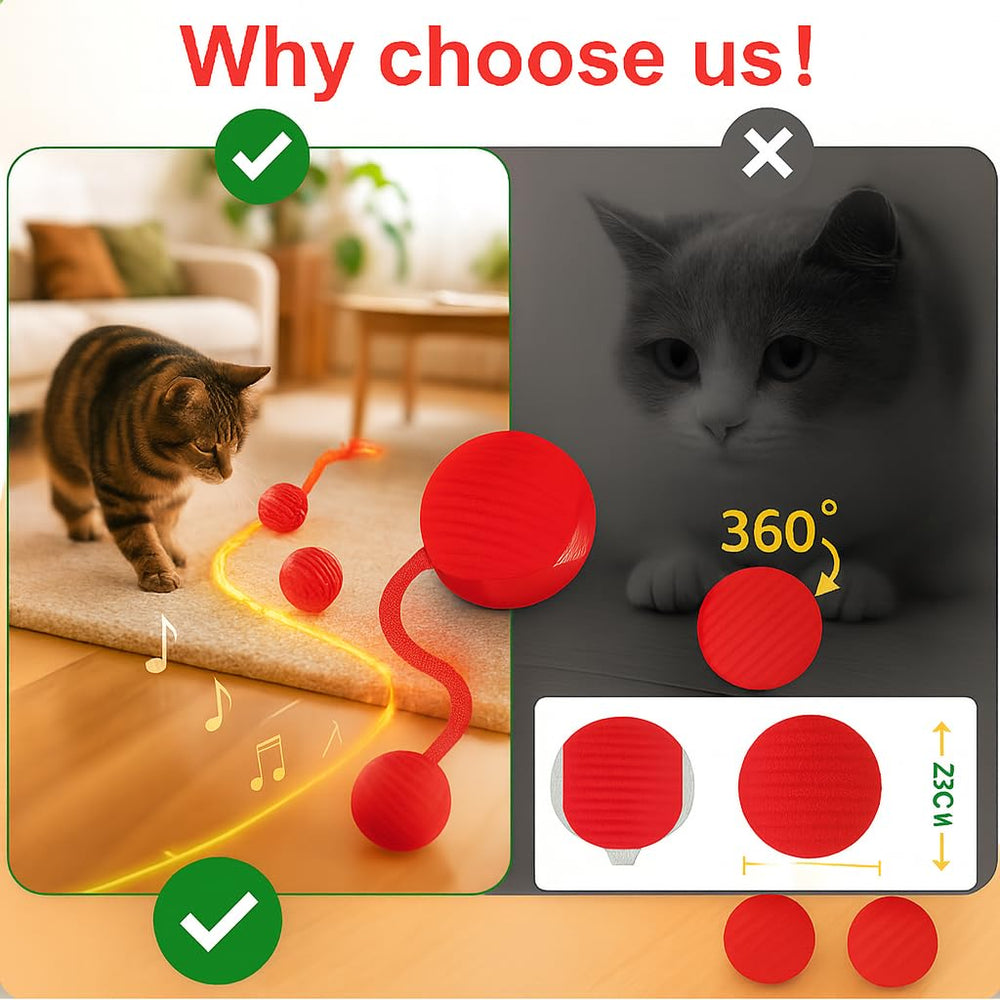 CKFPS interactive cat ball in a cozy indoor play setup