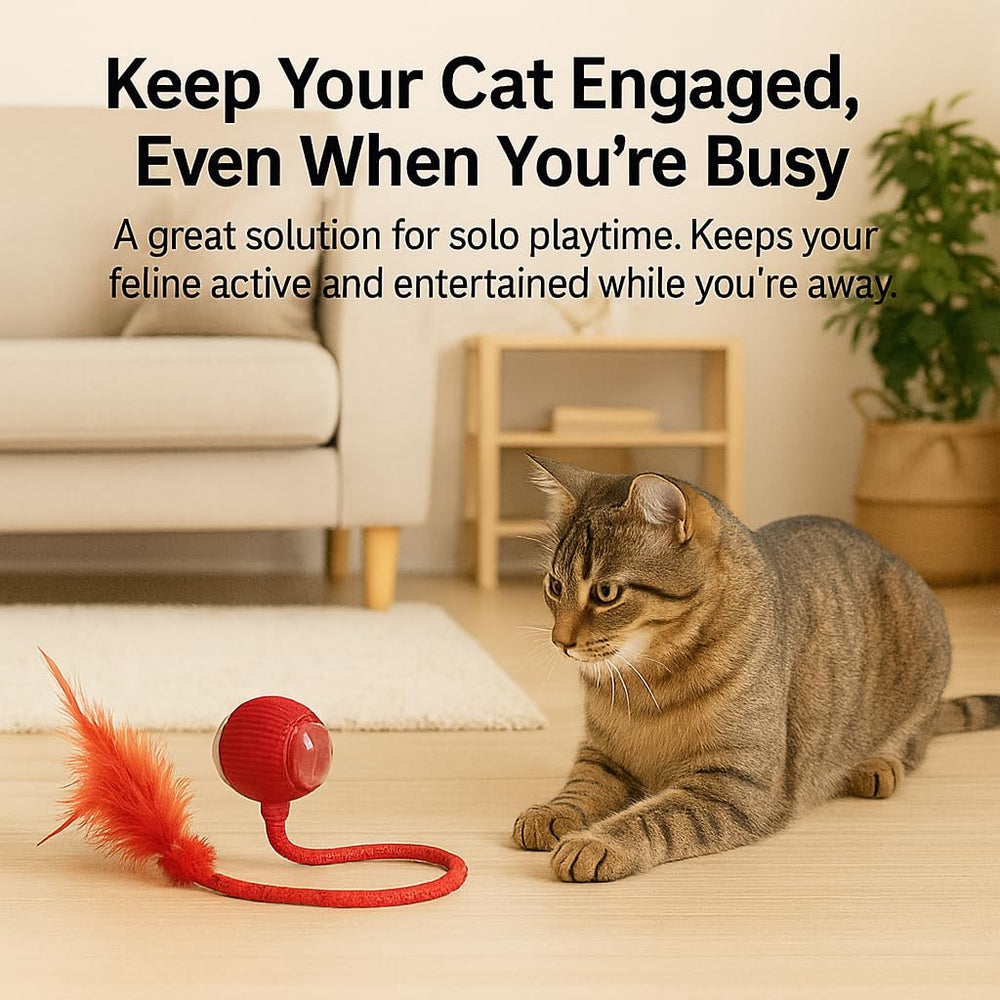 CKFPS cat ball showing color-changing lights for day or night play