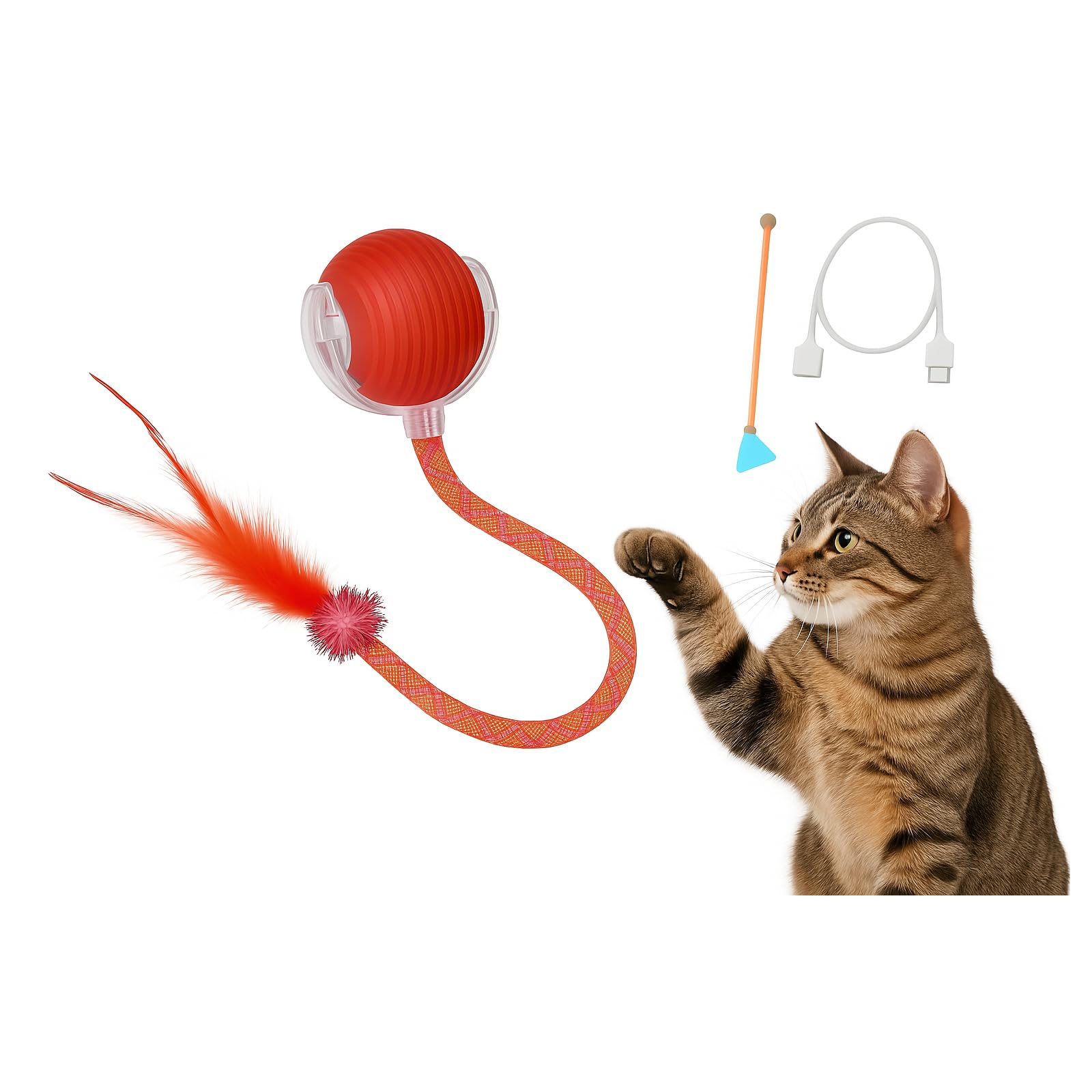 CKFPS Interactive Cat Ball in motion for indoor stimulation