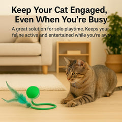 CKFPS Cat ball with adjustable dual speed suits your cat's mood.