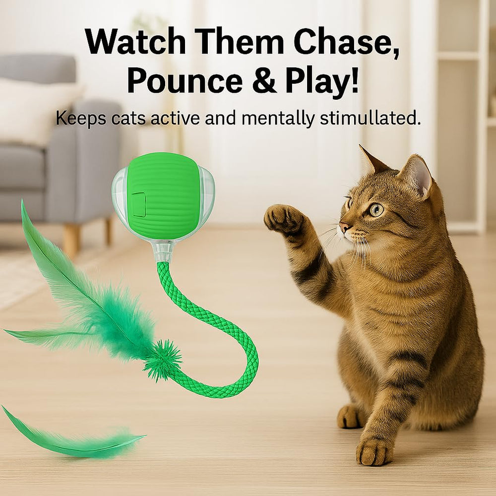 CKFPS Interactive Cat Toy Ball Green glowing color modes energize visual play sessions.