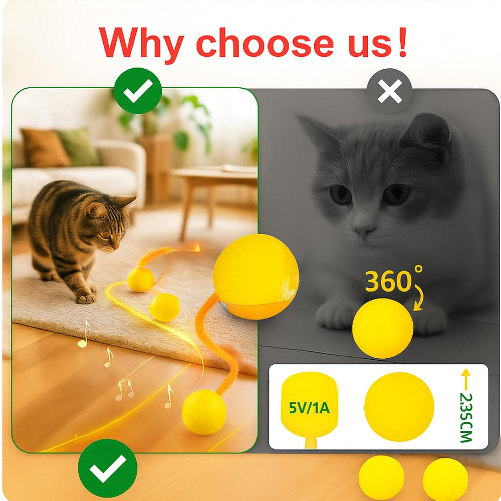 CKFPS interactive indoor cat toy encourages exercise and focus
